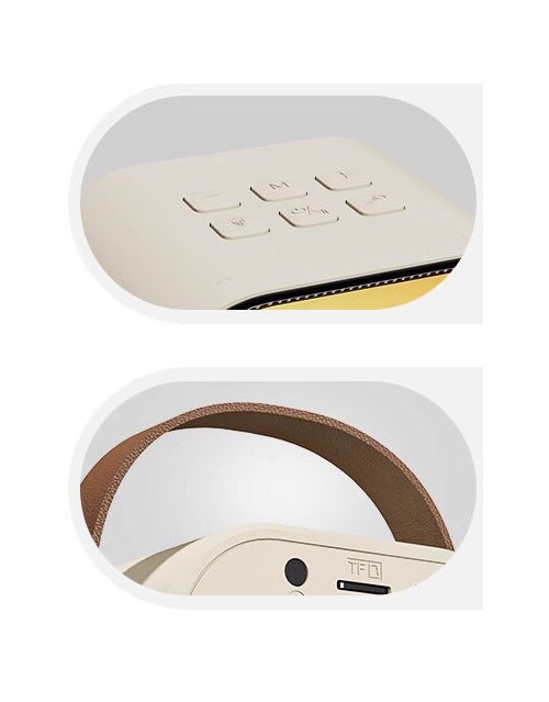 Set Karaoke Portabil – Boxă Bluetooth + 2 Microfoane Wireless